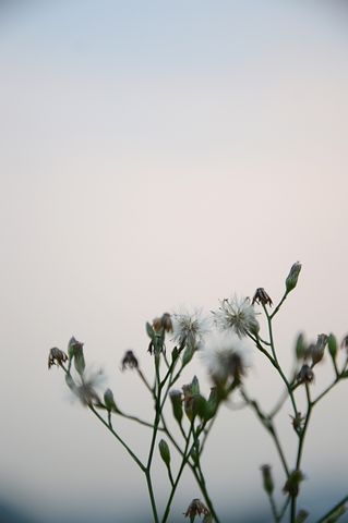 表达教师教育情怀的句子